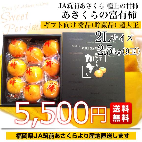福岡県から産地直送 JA筑前あさくら 朝倉の富有柿 ＜貯蔵品＞ 秀品 2Lサイズ 2.5キロ (9玉入り) 送料無料 かき 甘柿 あま柿03