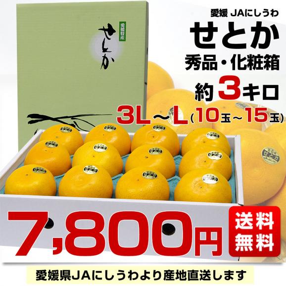 愛媛県より産地直送 JAにしうわ せとか 秀品  約3キロ ３LからLサイズ (10玉から15玉) 送料無料 セトカ 西宇和03