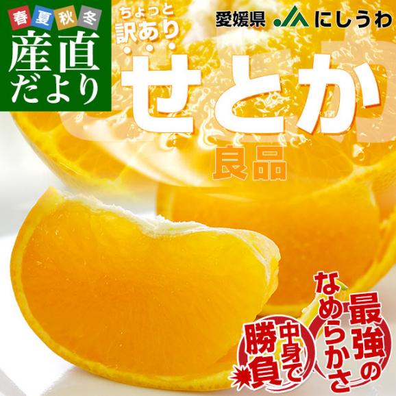 愛媛県 JAにしうわ せとか 良品 ちょっと訳あり 約2.5キロ 2LからMサイズ (10玉から15玉) 送料無料　セトカ 西宇和02