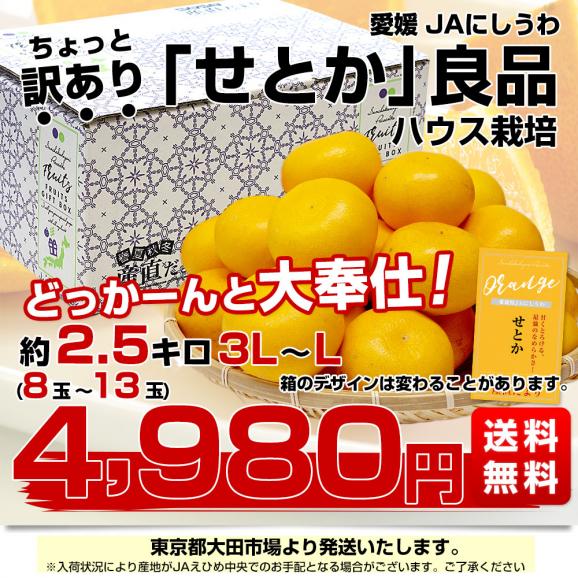 愛媛県 JAにしうわ せとか ハウス栽培 良品 ちょっと訳あり 約2.5キロ 3LからLサイズ （8玉から13玉） 送料無料 セトカ 西宇和03