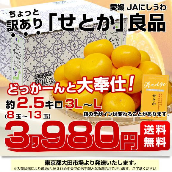 愛媛県 JAにしうわ せとか 良品 ちょっと訳あり 約2.5キロ 3LからLサイズ (8玉から13玉) 送料無料 セトカ 西宇和03