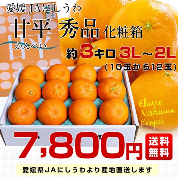 愛媛県より産地直送 JAにしうわ 甘平(かんぺい) 秀品 3Lから2Lサイズ 3キロ (10玉から12玉) 送料無料 カンペイ 西宇和03