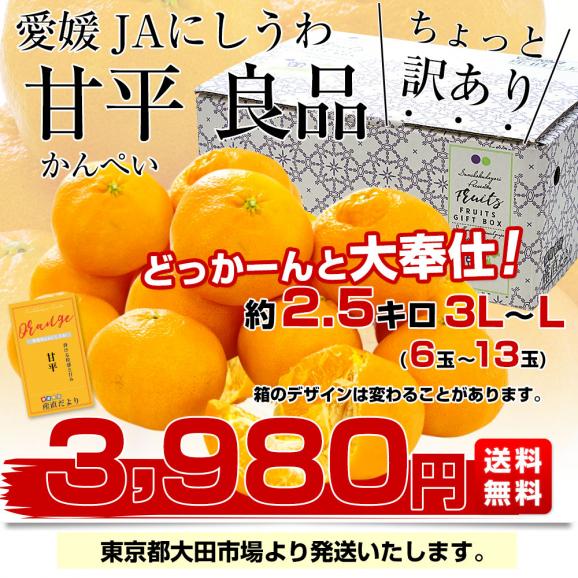愛媛県 JAにしうわ 甘平(かんぺい) ちょっと訳あり 良品 3LからLサイズ 約2.5キロ(6玉から13玉) 送料無料 カンペイ 西宇和03
