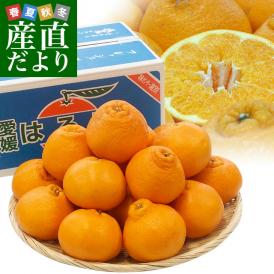 愛媛県産 JAえひめ中央 はるみ ご家庭用 3LからMサイズ 5キロ (18から35玉前後) 送料無料 柑橘 オレンジ 市場スポット