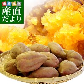 鹿児島県より産地直送 種子島安納紅「みつ姫」 約1.8キロ さつまいも 唐芋 からいも カライモ  送料無料
