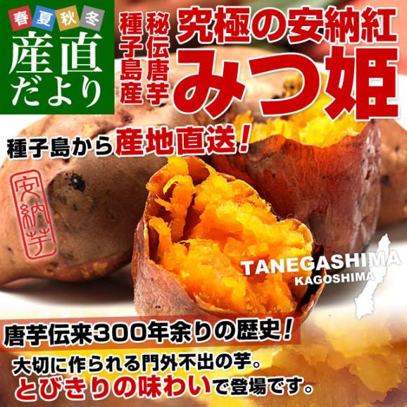 鹿児島県より産地直送 種子島安納紅「みつ姫」 約1.8キロ さつまいも 唐芋 からいも カライモ  送料無料02