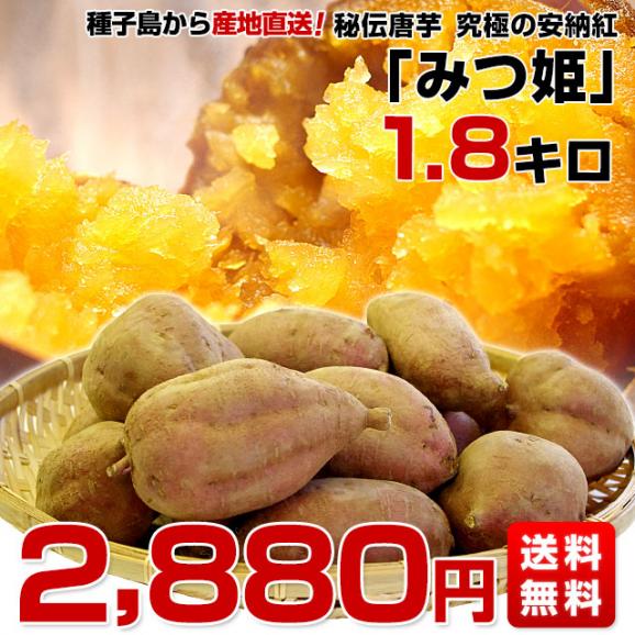 鹿児島県より産地直送 種子島安納紅「みつ姫」 約1.8キロ さつまいも 唐芋 からいも カライモ  送料無料03