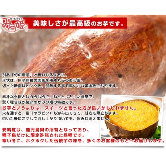 鹿児島県より産地直送 種子島安納紅「みつ姫」 約1.8キロ さつまいも 唐芋 からいも カライモ  送料無料06