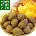 鹿児島県より産地直送 種子島安納紅「みつ姫」 約5キロ さつまいも 唐芋 からいも カライモ  送料無料