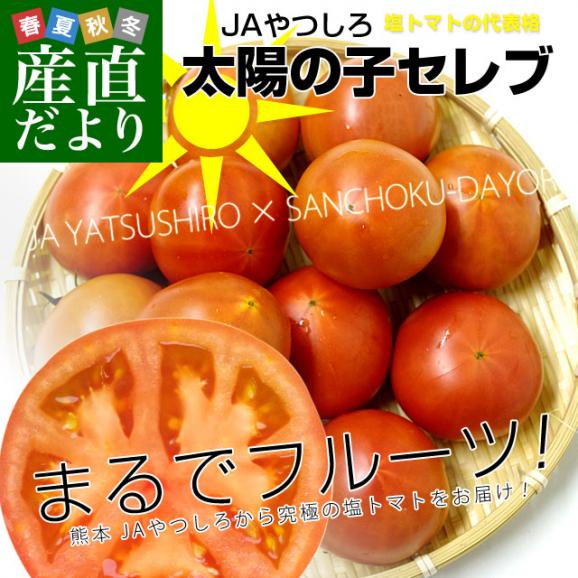 熊本県より産地直送 JAやつしろ 太陽の子セレブ フルーツトマト 約1キロ LからSサイズ(９玉から16玉) 送料無料 とまと02