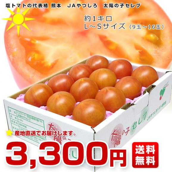 熊本県より産地直送 JAやつしろ 太陽の子セレブ フルーツトマト 約1キロ LからSサイズ(９玉から16玉) 送料無料 とまと03