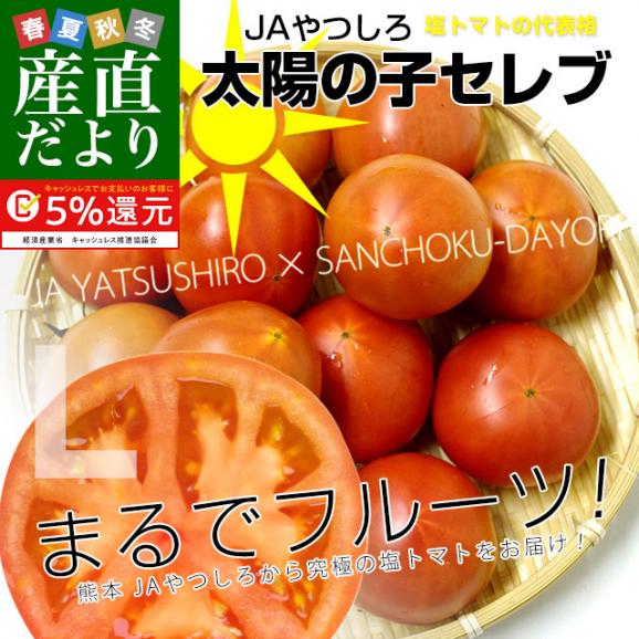 送料無料 熊本県より産地直送 JAやつしろ 太陽の子セレブ フルーツトマト 約1キロ Lサイズ(9玉) とまと02