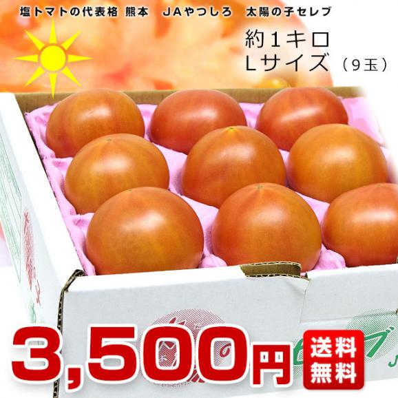 送料無料 熊本県より産地直送 JAやつしろ 太陽の子セレブ フルーツトマト 約1キロ Lサイズ(9玉) とまと03