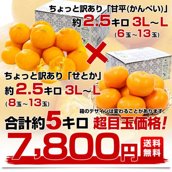 愛媛県産 JAにしうわ 甘平＆せとかセット 良品 ちょっと訳あり 合計5キロ（2.5キロ&times;2箱）かんぺい セトカ 送料無料 西宇和 八幡浜03