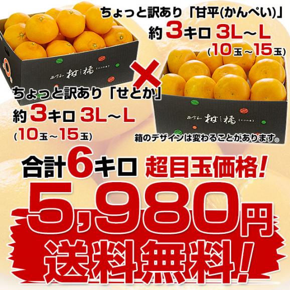 愛媛県産 JAにしうわ 甘平＆せとかセット 良品 ちょっと訳あり 合計6キロ（3キロ×2箱）かんぺい セトカ  送料無料 西宇和 八幡浜03