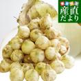 熊本県より産地直送 JAあしきた サラたまちゃん LAサイズ 約10キロ (30玉前後) 送料無料 玉葱 タマネギ サラ玉 さらたま さらタマ