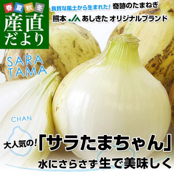 熊本県より産地直送 JAあしきた サラたまちゃん LAサイズ 約10キロ (30玉前後) 送料無料 玉葱 タマネギ サラ玉 さらたま さらタマ02