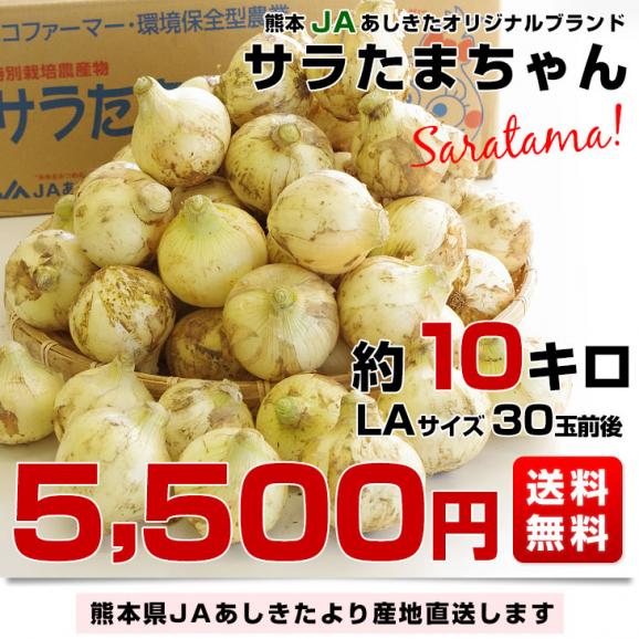 熊本県より産地直送 JAあしきた サラたまちゃん LAサイズ 約10キロ (30玉前後) 送料無料 玉葱 タマネギ サラ玉 さらたま さらタマ03