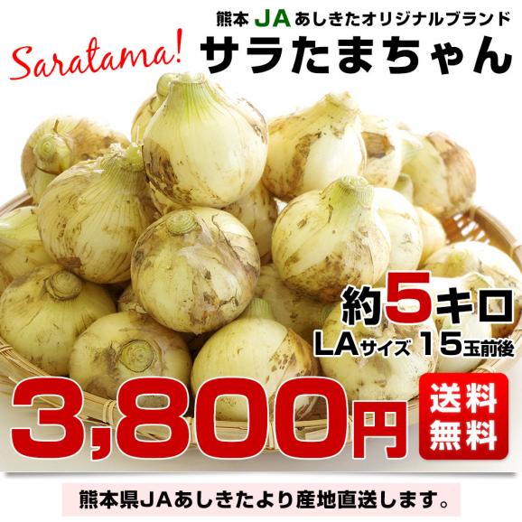 熊本県より産地直送 JAあしきた サラたまちゃん LAサイズ 約5キロ (15玉前後) 送料無料 玉葱 タマネギ サラ玉 さらたま さらタマ03