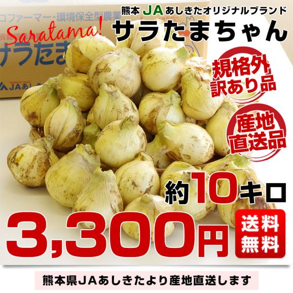 熊本県より産地直送 JAあしきた サラたまちゃん 規格外 (訳あり品) 約10キロ  送料無料 玉葱 タマネギ サラ玉 さらたま さらタマ03