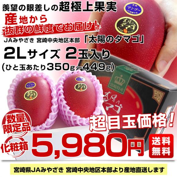 宮崎県より産地直送 JAみやざき宮崎中央地区本部 完熟マンゴー 太陽のタマゴ２L×2玉 (350gから449g×2玉) 送料無料 宮崎マンゴー 太陽のたまご お中元 ギフト03