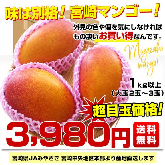 宮崎県より産地直送 JAみやざき宮崎中央地区本部 訳あり宮崎マンゴー 1キロ以上 (2玉から3玉) 送料無料 03