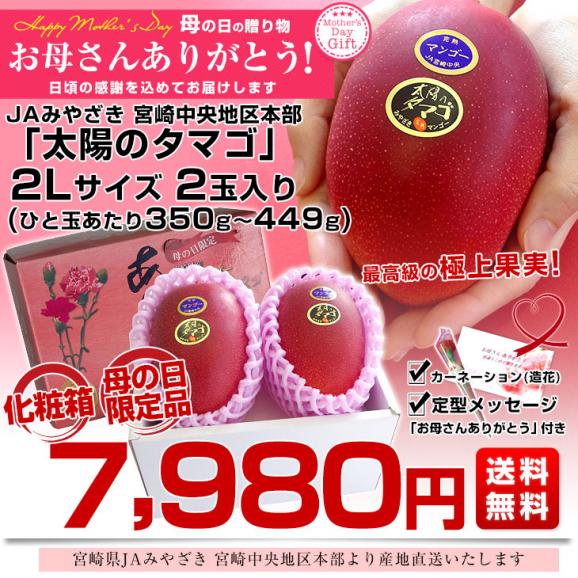 【遅れてごめんね母の日】宮崎県より産地直送 JAみやざき宮崎中央地区本部 完熟マンゴー 太陽のタマゴ ２L×2玉 (350gから449g×2玉) 送料無料 母の日プレゼント  太陽のたまご 03