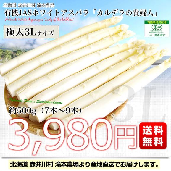 北海道より産地直送 赤井川村滝本農場の有機JASホワイトアスパラ「カルデラの貴婦人」 超極太3Lサイズ 約500g入り 送料無料 アスパラガス ※クール便発送03