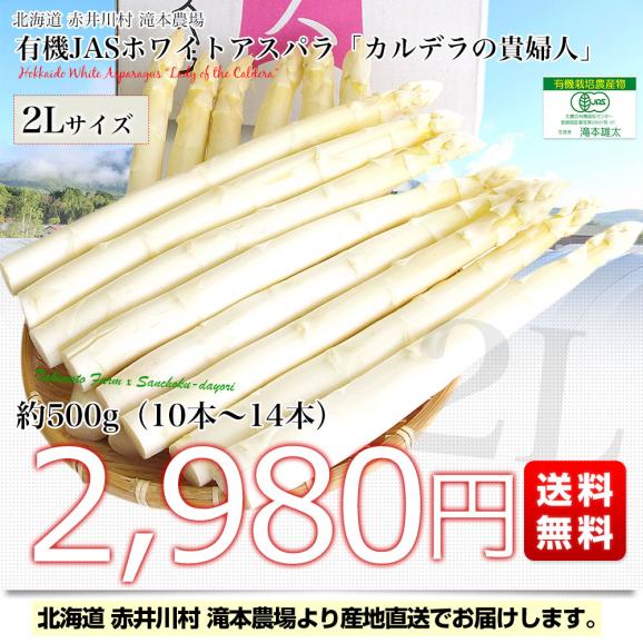 北海道より産地直送 赤井川村滝本農場の有機JASホワイトアスパラ「カルデラの貴婦人」 極太２Lサイズ 約500g入り 送料無料 アスパラガス ※クール便発送03