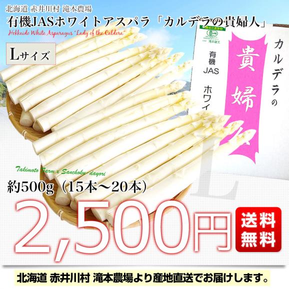北海道より産地直送 赤井川村滝本農場の有機JASホワイトアスパラ「カルデラの貴婦人」 Ｌサイズ 約500g入り 送料無料 アスパラガス ※クール便発送03