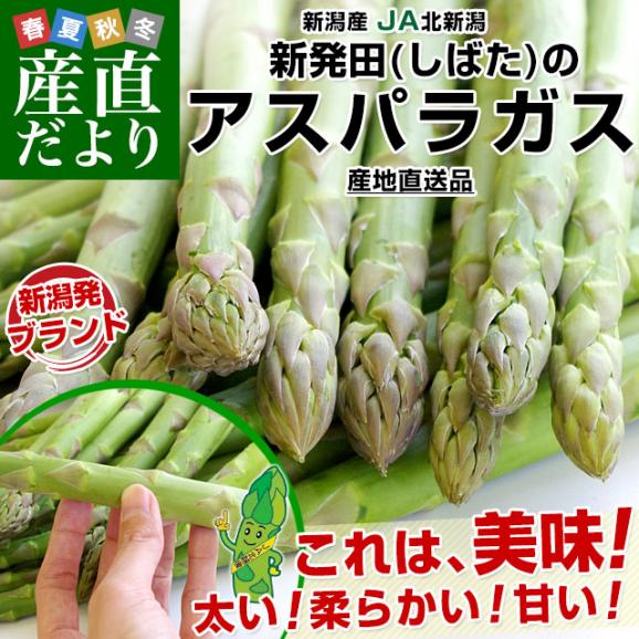 新潟県より産地直送 JA北新潟 新発田の極太グリーンアスパラ 2L 約1キロ 送料無料02