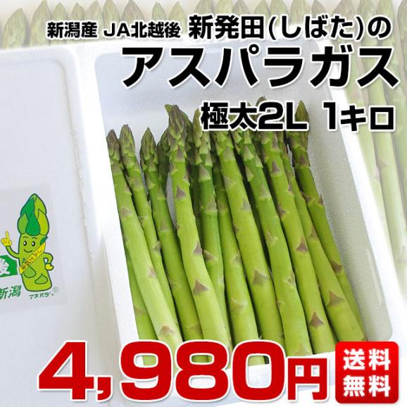 新潟県より産地直送 JA北越後 新発田の極太グリーンアスパラ 2L 約1キロ 送料無料03