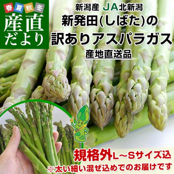新潟県より産地直送 JA北新潟 新発田の訳ありグリーンアスパラ 規格外LからS込 約1キロ 送料無料02