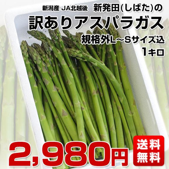 新潟県より産地直送 JA北越後 新発田の訳ありグリーンアスパラ 規格外LからS込 約1キロ 送料無料03