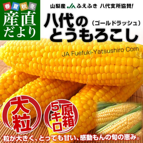 山梨県より産地直送　JAふえふき八代支所 とうもろこし(ゴールドラッシュ) 2LからLサイズ 約5キロ (12本から15本) 送料無料 とうきび ※クール便02