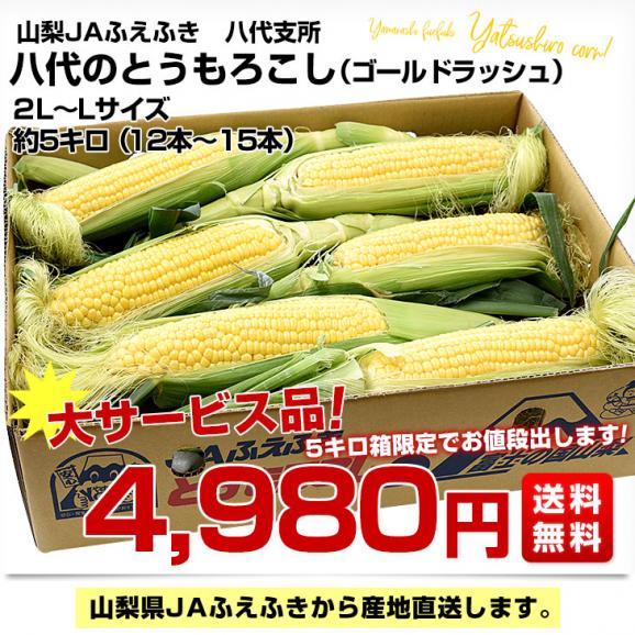 山梨県より産地直送 JAふえふき八代支所 とうもろこし(ゴールドラッシュ) 2LからLサイズ 約5キロ (12本から15本) 送料無料 とうきび ※クール便03
