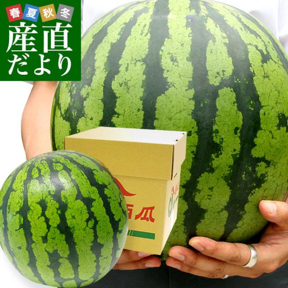 厳選！おすすめのスイカ【お取り寄せ】