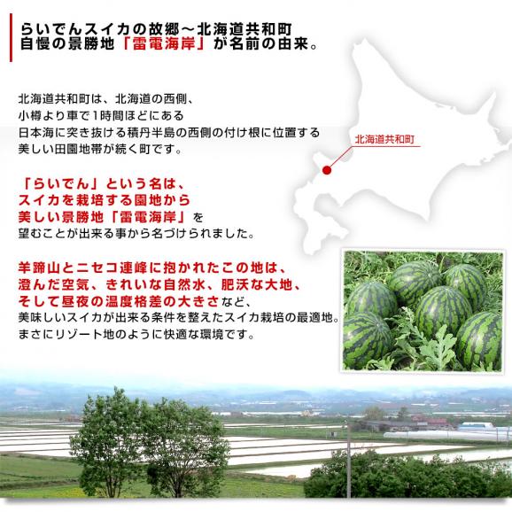 北海道より産地直送 JAきょうわ らいでんスイカ 超特大 秀品5Lサイズ 10キロ以上 すいか 西瓜 送料無料05