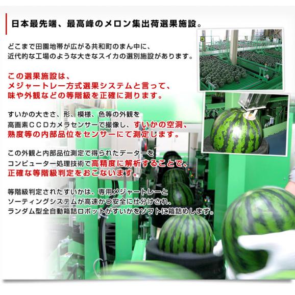 北海道より産地直送 JAきょうわ らいでんスイカ 超特大 秀品5Lサイズ 10キロ以上 すいか 西瓜 送料無料05