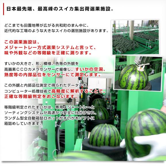 北海道より産地直送 JAきょうわ らいでんスイカ 超特大 秀品5Lサイズ 10キロ以上 すいか 西瓜 送料無料06