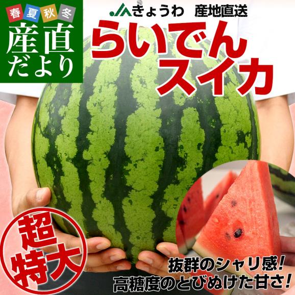 北海道より産地直送 JAきょうわ らいでんスイカ 超特大 優品5Lサイズ 10キロ以上 すいか 西瓜 送料無料02