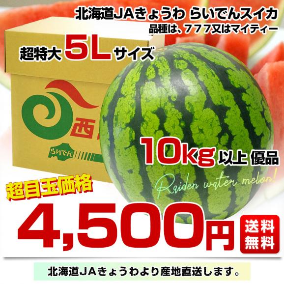 北海道より産地直送 JAきょうわ らいでんスイカ 超特大 優品5Lサイズ 10キロ以上 すいか 西瓜 送料無料03