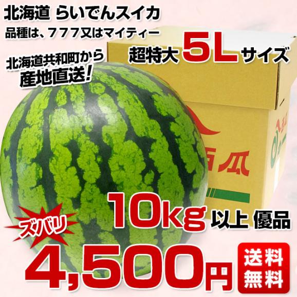 北海道より産地直送 JAきょうわ らいでんスイカ 超特大 優品5Lサイズ 10キロ以上 すいか 西瓜 送料無料03