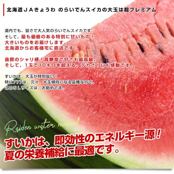 北海道より産地直送 JAきょうわ らいでんスイカ 超特大 優品5Lサイズ 10キロ以上 すいか 西瓜 送料無料05
