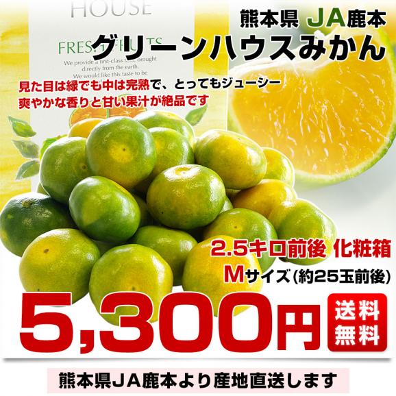 熊本県より産地直送 JA鹿本 グリーンハウスみかん Mサイズ 約2.5キロ（25玉前後）化粧箱入り 送料無料　ミカン 蜜柑03