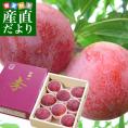 山梨県より産地直送 JAふえふき石和支所 石和のサマーエンジェル 大玉 約1.5キロ（8玉から10玉）送料無料 プラム ぷらむ すもも スモモ