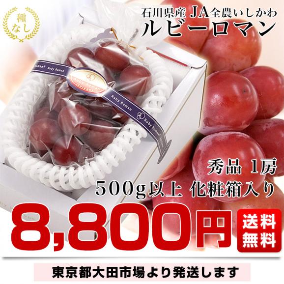 石川県産 JA全農いしかわ ルビーロマン 秀品1房 500g以上 化粧箱入り 葡萄 ぶどう 送料無料  ※クール便03