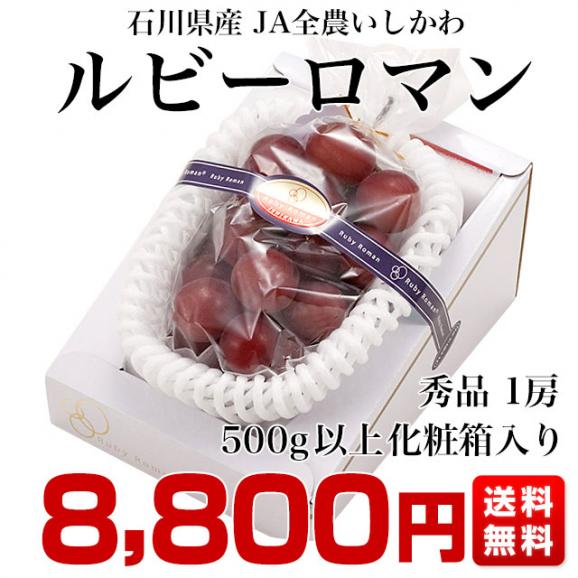 石川県産 JA全農いしかわ ルビーロマン 秀品1房 500g以上 化粧箱入り 葡萄 ぶどう 送料無料  ※クール便03