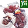 石川県産 JA全農いしかわ ルビーロマン 秀品 特大1房 800g以上 化粧箱入り 葡萄 ぶどう 送料無料 ※クール便