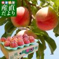長野県より産地直送 JAながの 飯綱(いいづな)地区 川中島白桃 秀品 約5キロ (15玉から18玉) 送料無料 もも モモ